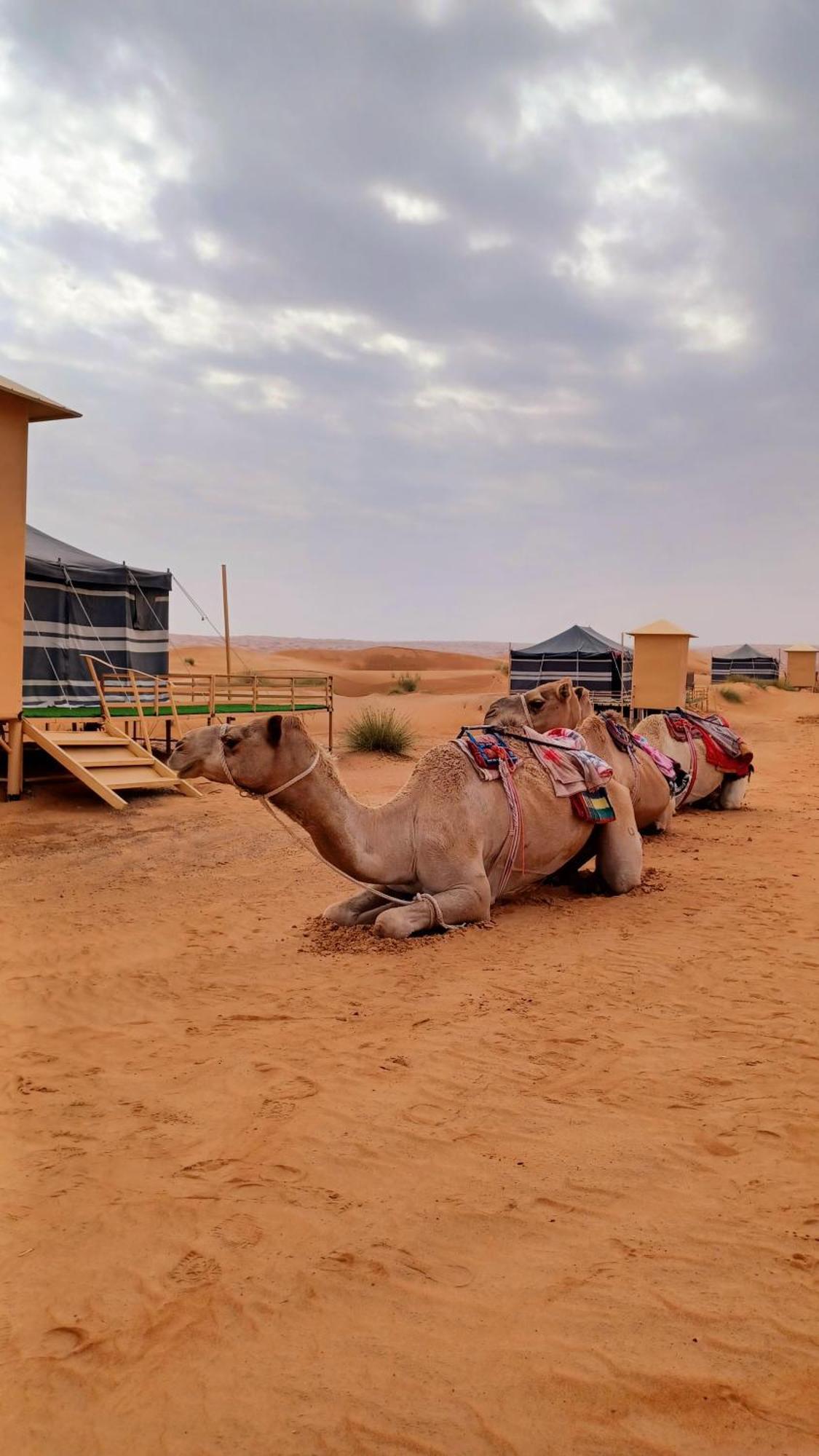 Badīyah Sunrise Desert Local Private Camp מראה חיצוני תמונה